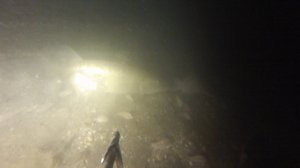 Подводная охота - закрытие сезона 2025