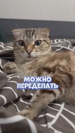 Все можно сделать