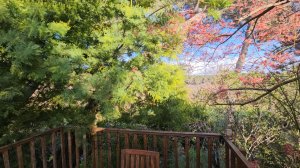 11-17 декабря 2025. Предрождественский Влог 1