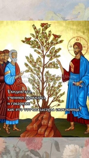Засохшая смоковница; о вере. Евангелие от Матфея