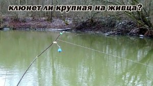 Рыбалка 19 декабря на 10 донок на малой речке на голавля с ночёвкой! 6 серия сериала ПП100ГННР