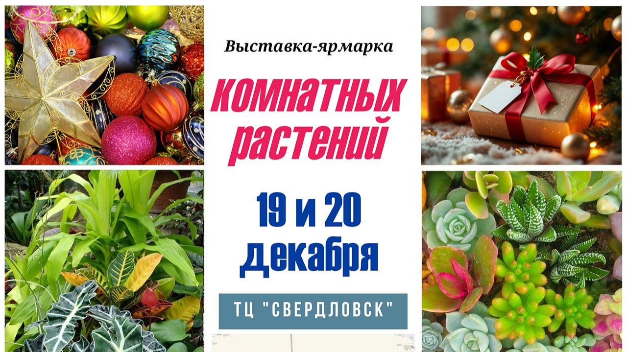 Выставка комнатных растений Иридасад 19-20 декабря, Екатеринбург смотреть онлайн