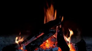 СМЫСЛ ЖИЗНИ и ПРЕДНАЗНАЧЕНИЕ