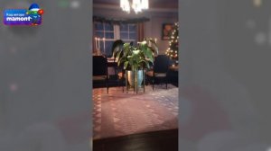 ГДЕ СКАЧАТЬ РЕМАСТЕР В STANDOFF 2