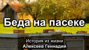 Беда на пасеке 🙏 христианские рассказы