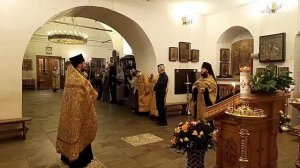 Неделя 28-я по Пятидесятнице. Прп. Патапия. Прямая трансляция