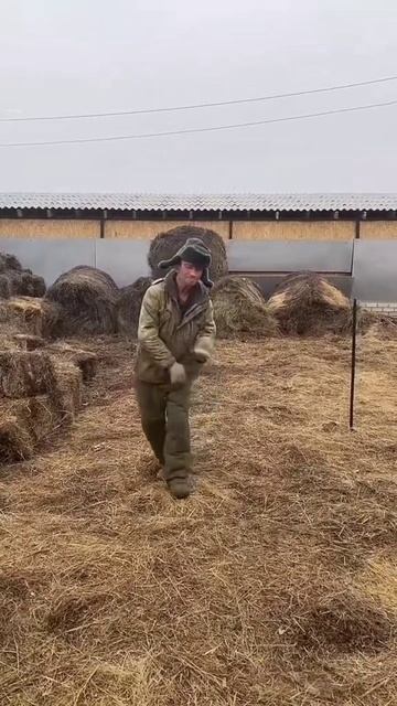 посмеёмся.mp4 смотреть онлайн