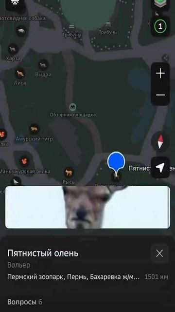 Пермский зоопарк собрал все мемы про животных на карте смотреть онлайн