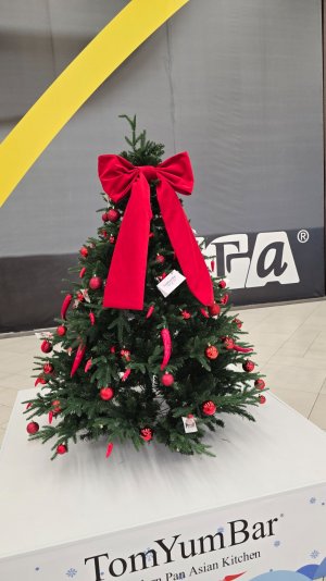 Люди сошли с ума ?