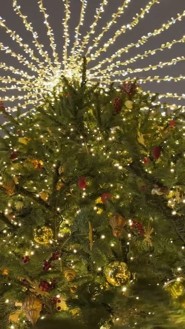 Все ближе время для прогулок по ярмаркам! Да, и в Москве они самые атмосферные! смотреть онлайн