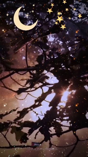 О месяце Раджаб смотреть онлайн