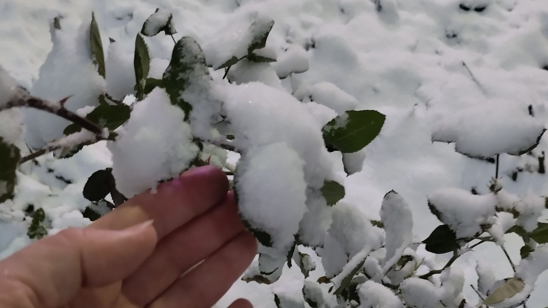 Первый снег смотреть онлайн