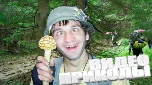 ЛУЧШИЕ ПРИКОЛЫ 2025 | ПРИКОЛЫ 2025 | СВЕЖИЕ ПРИКОЛЫ 2025 | РЖУ НЕ МОГУ