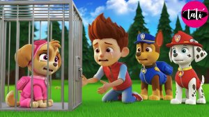 Щенячий патруль и Маршалл. Залипательное видео. Мультфильм для детей и малышей. Анимация