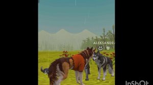 Мини фильм Wildcraft "Дух" 2 сезон 1 серия