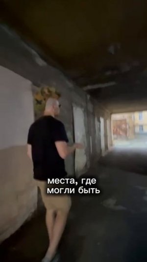 Кошачий дом Майка Науменко