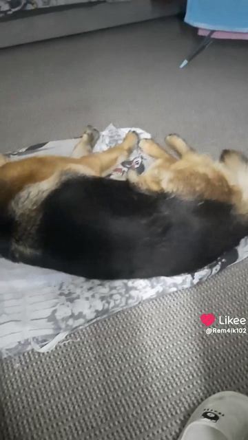 наливай и не жалей💥 смотреть онлайн