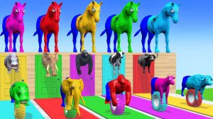 Веселые игры с слоном, гориллой, бегемотом, тигром - 3D игра с животными - Забавные 3D животные