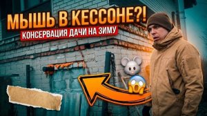 #153 Дача на зимовке: ПОЛНЫЙ ГАЙД