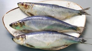 Как засолить селедку дома - Самый простой рецепт засолки селедки в банке