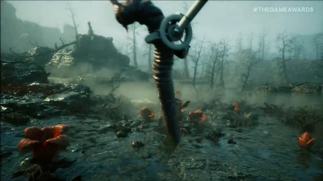 Forest 3 смотреть онлайн