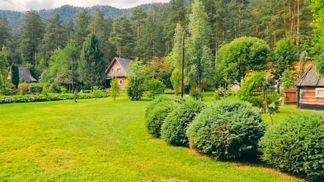 видео Алтай