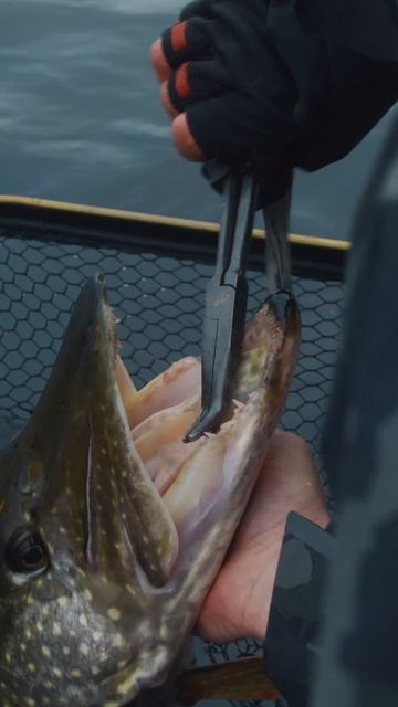 BIG BOSS! Первый трофей сезона!