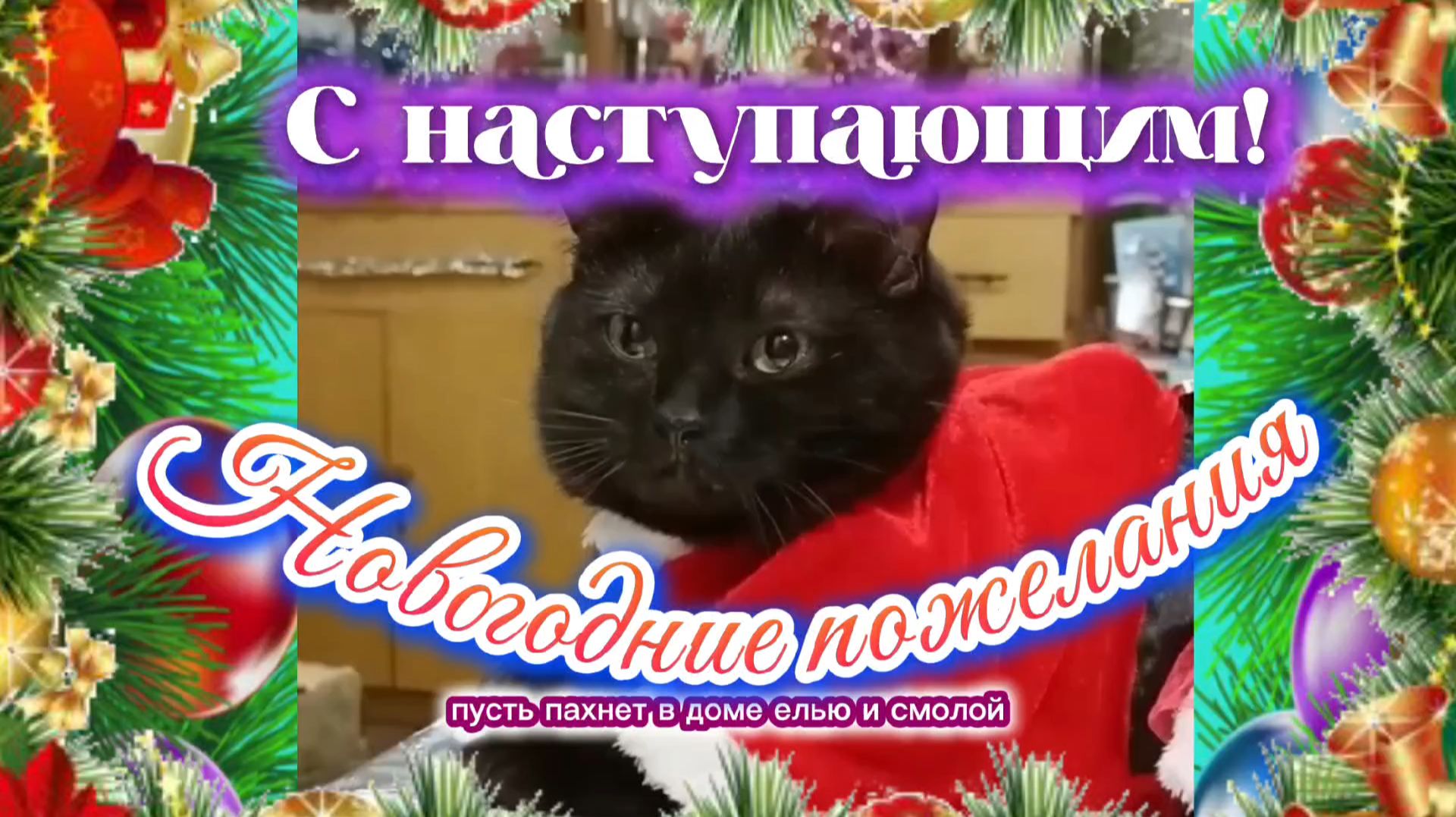 Новогодние пожелания! С Наступающим 🌲 смотреть онлайн