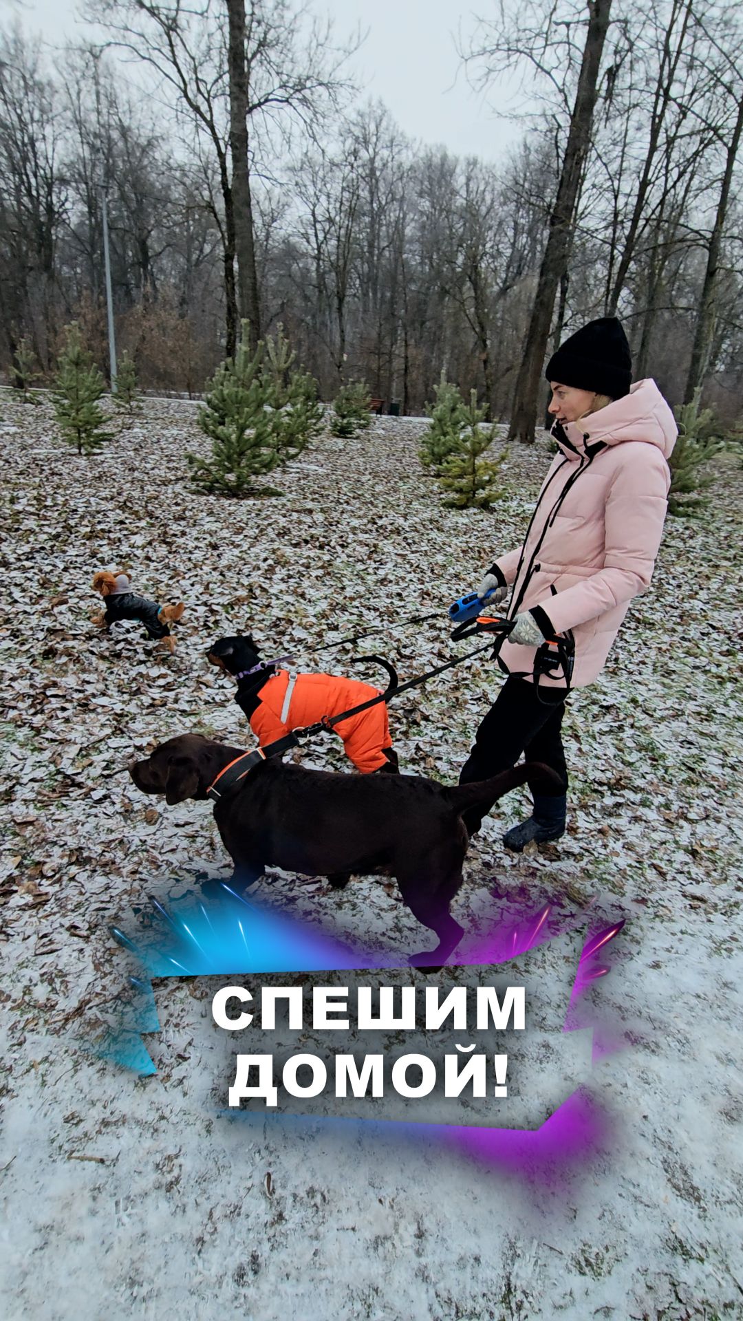 Есть что посмотреть! #животные