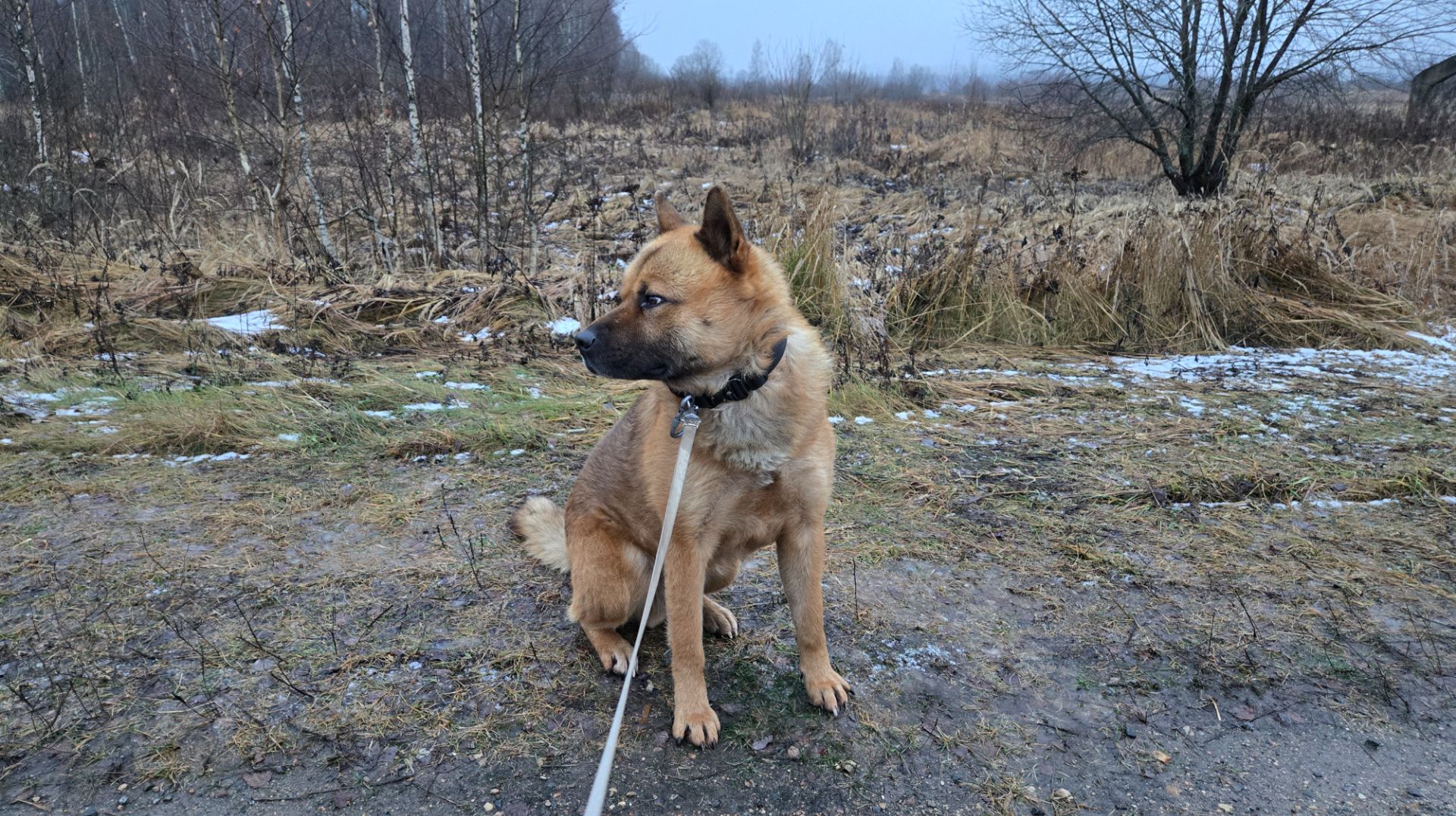 Суперобслуживание, срочная упаковка и прогулка в сумерки смотреть онлайн