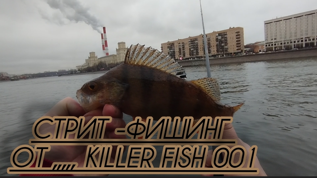 РЫБАЛКА В ЧЕРТЕ ГОРОДА СТРИТ -ФИШИНГ смотреть онлайн