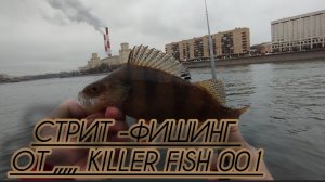 РЫБАЛКА В ЧЕРТЕ ГОРОДА СТРИТ -ФИШИНГ