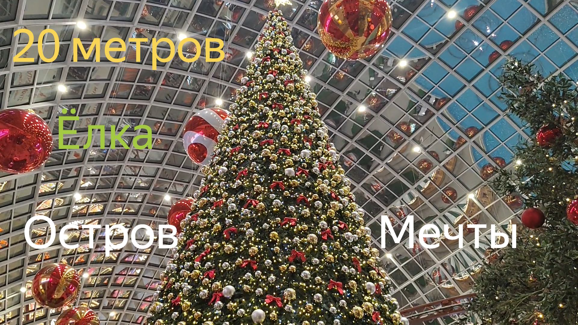 Новогодняя Ёлка Острова Мечты двадцать метров ! смотреть онлайн