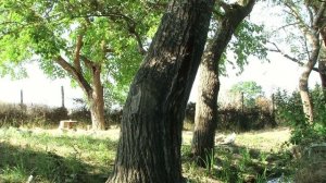 Родники Сулейман-Стальского района(3часть).Лезгистандин булахар