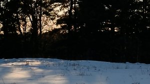 Тепло огня в печке