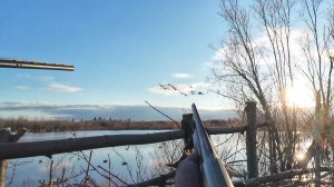 ОХОТА НА ГУСЯ И УТКУ НА ОЗЕРЕ. ПРОВЕРЯЕМ СЕТИ ВЕСНОЙ. ДОБЫЛИ И МЯСО И РЫБУ.