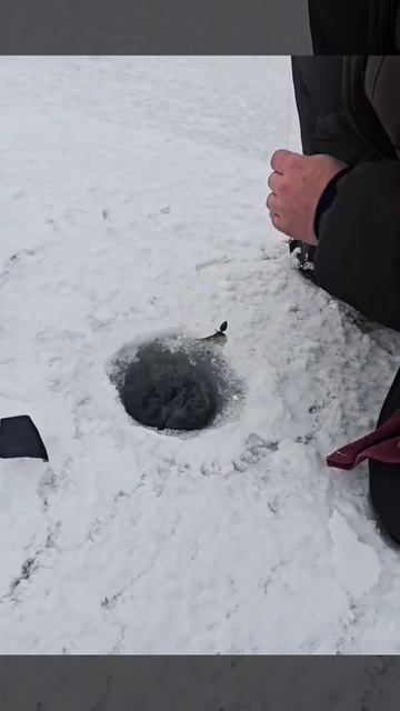Поймал судака по первому льду! Кайф, кайф, кайф!. смотреть онлайн