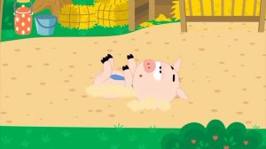 Котэ свинка