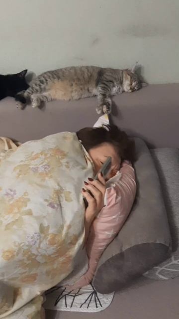 хозяйка и коты смотреть онлайн
