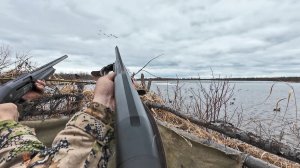 ОХОТА НА ГУСЯ И УТКУ НА СЕВЕРЕ. ХОРОШО ОТСТРЕЛЯЛИСЬ С ПЯТИЗАРЯДОК. ГУСЬ МАССОВО ШЕЛ НА СЕВЕР.