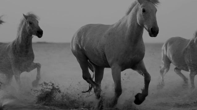 Вновь смотреть онлайн