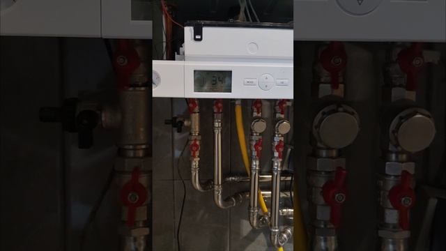 Подключаем и настраиваем котел Wiessmann Witopend 100 к котельной автоматике, решаем задачу с LEG