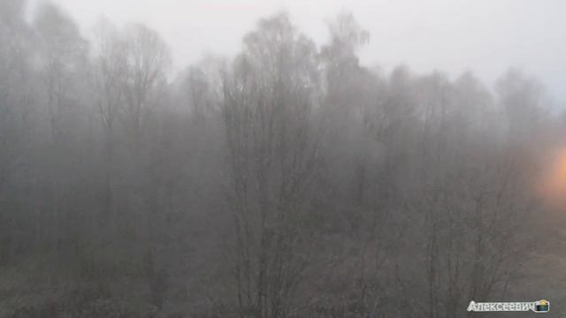 Ползущие в тумане просто упираются лбом в скалу, летящие, обычно, разбиваться о неё вдребезги!