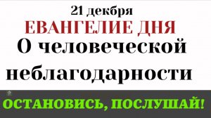 21 декабря Евангелие дня. «Не десять ли очистились» Почему 90% людей забывают Бога сразу после чуда