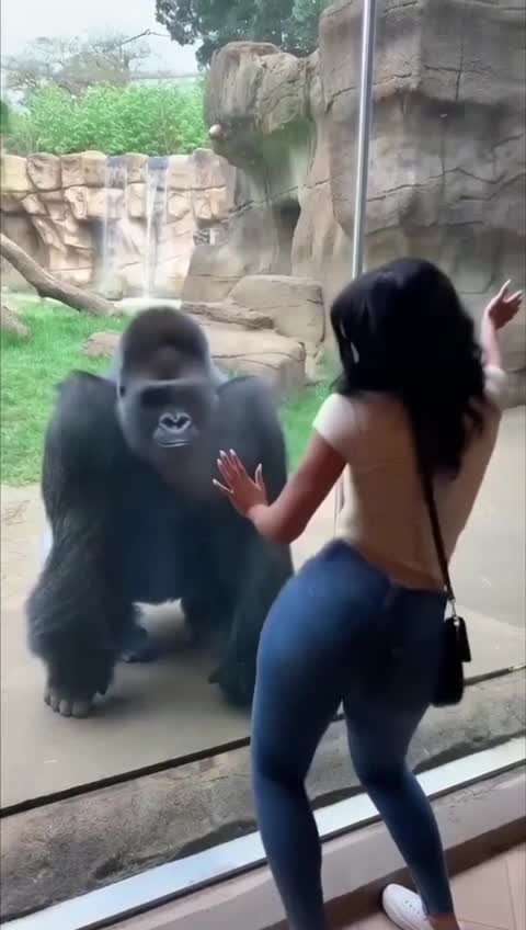 А вам СЛAБО ?😂😂 смотреть онлайн