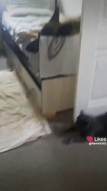 Не живем богато, но дружно смотреть онлайн