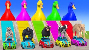 Веселые игры с слоном, гориллой, бегемотом, тигром - 3D игра с животными - Забавные 3D животные