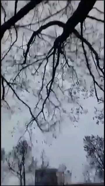 С улыбкой! Что бы это значило? смотреть онлайн