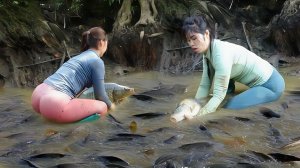 Две молодые девушки с помощью насоса откачивают воду из дикого пруда, ловят много рыбы. Вьетнам