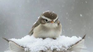 20-12-2025 Жизнь в деревне 🏠. Как сегодня прошёл день.